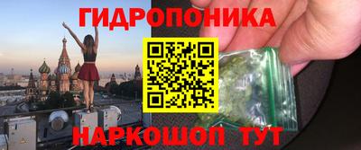 Альфа ПВП Бийск