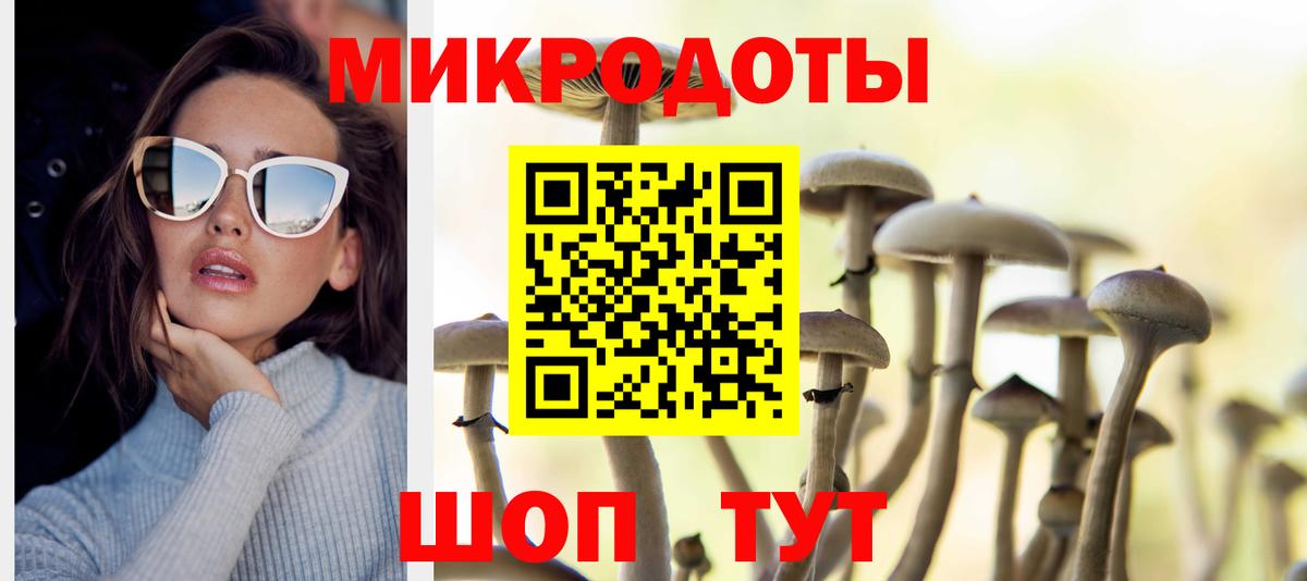 Канаш  Псилоцибиновые грибы Psilocybine cubensis  купить наркотики сайты  Вход с VPN  Псилоцибиновые грибы прущие грибы 