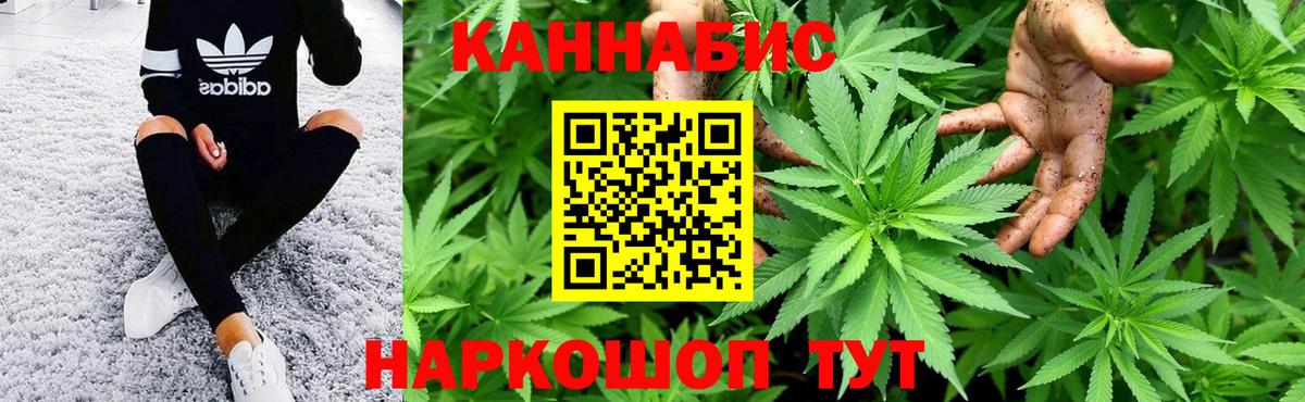 Конопля VHQ  Вход с VPN  Бошки Шишки Ganja  Канаш 
